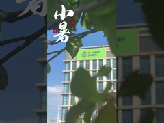 عرضه کنندگان چینی کوره های سینتر سازی خلاء